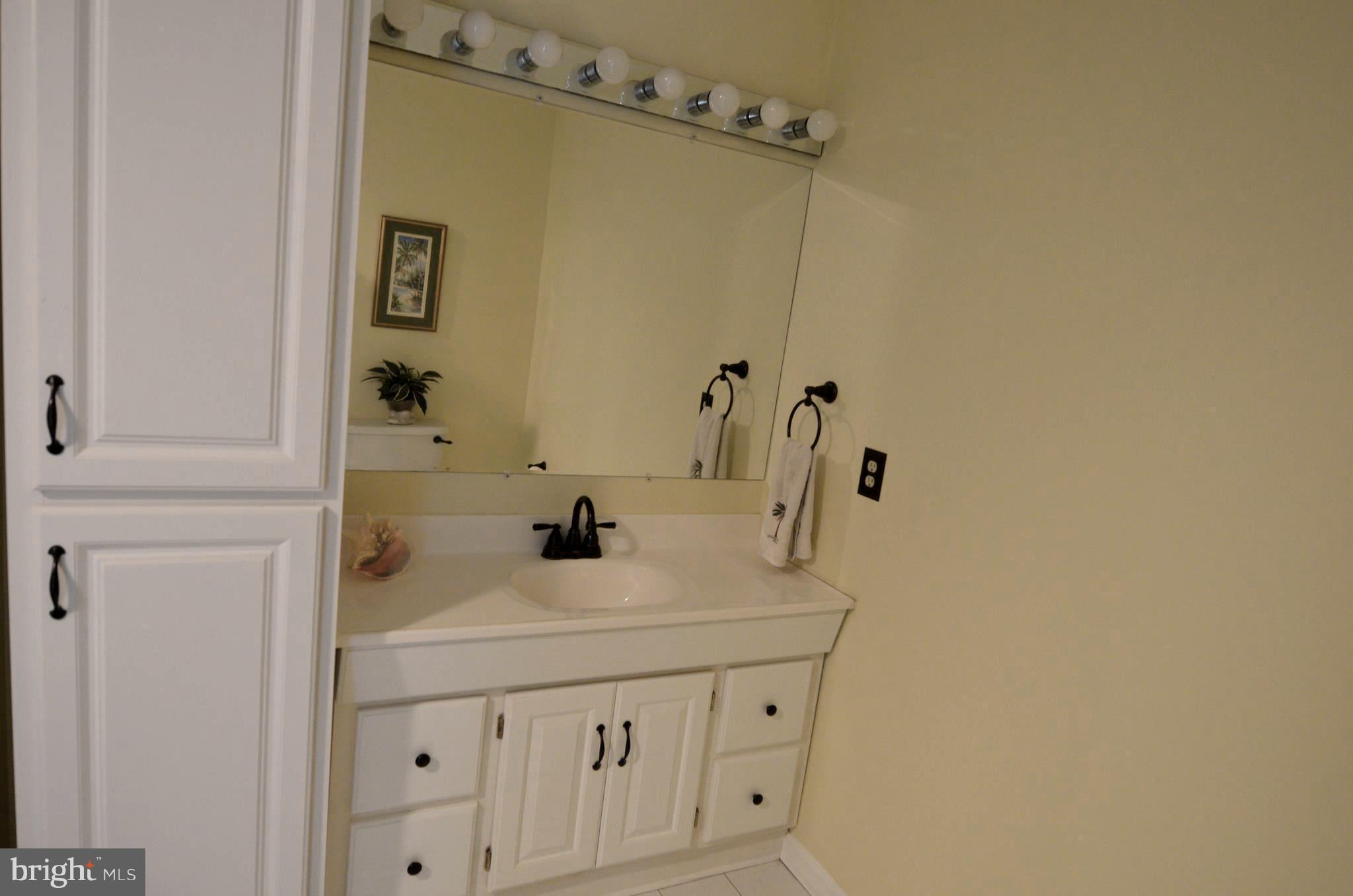 5006 St Pauls Church Road Pylesville, MD 21132 - Photo 10 of 28 Bath (Master)