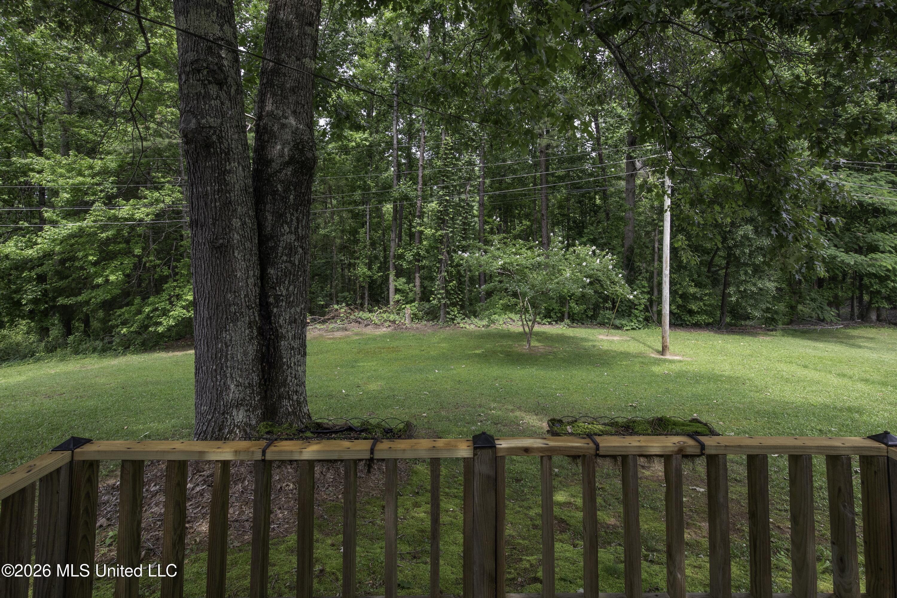 711 Lovers Lane Road Booneville, MS 38829 - Photo 29 of 33 LoversLane-9