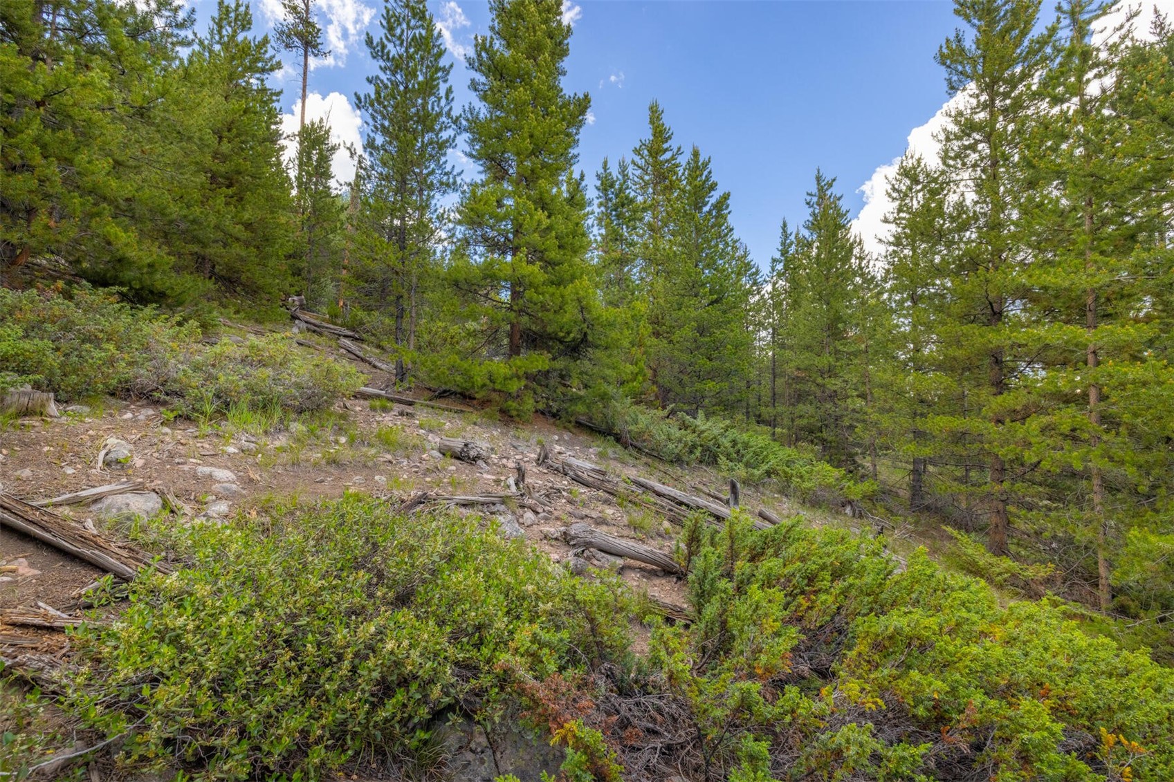 517 Giberson Road Frisco, CO 80443 - Photo 26 of 26 Gallery Image 26