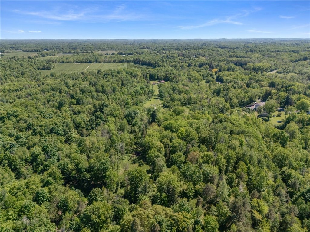 Geneva Road Sodus, NY 14551 - Photo 18 of 34