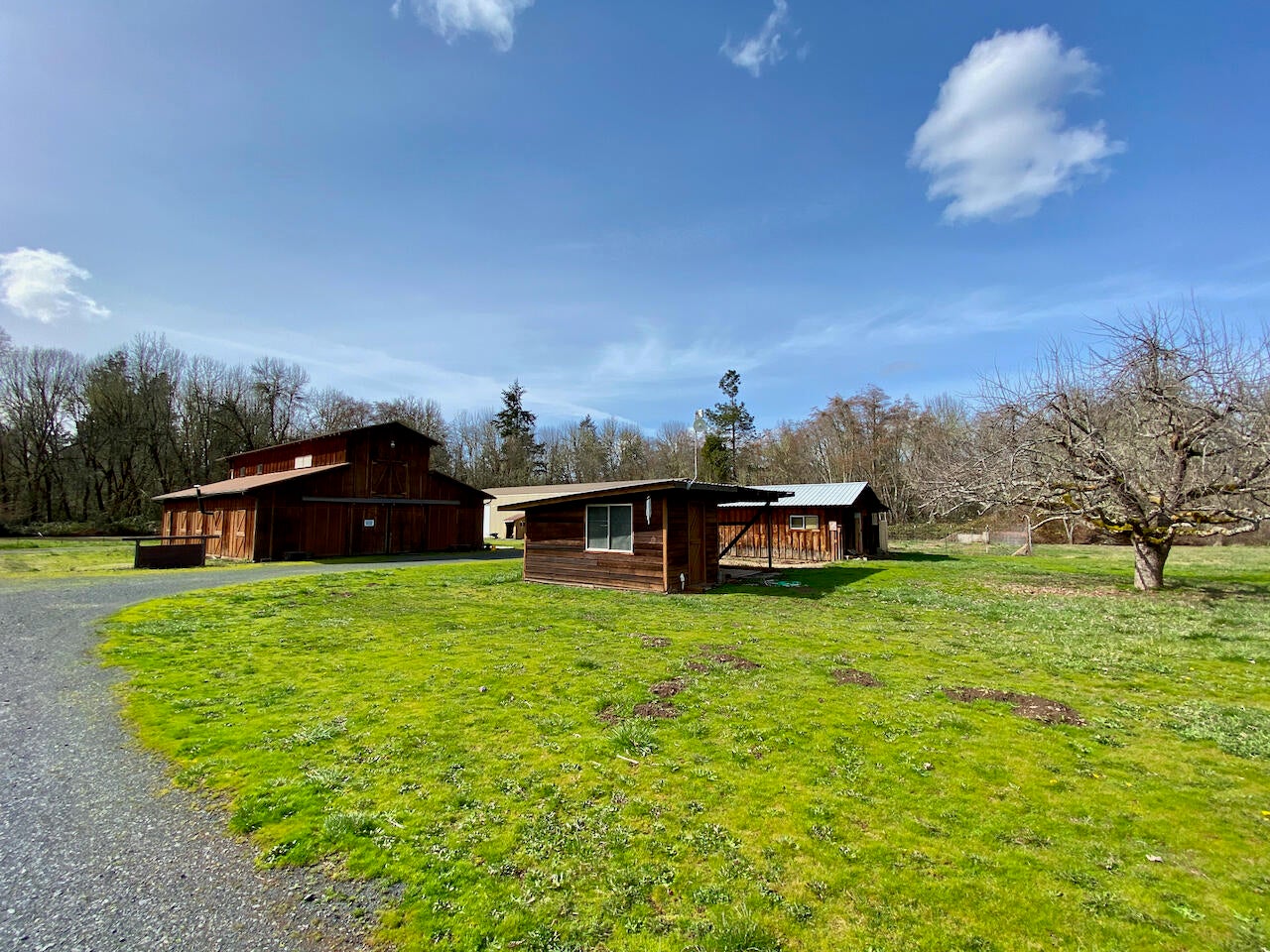 7440 Takilma Road Cave Junction, OR 97523 - Photo 9 of 36 outbuildings