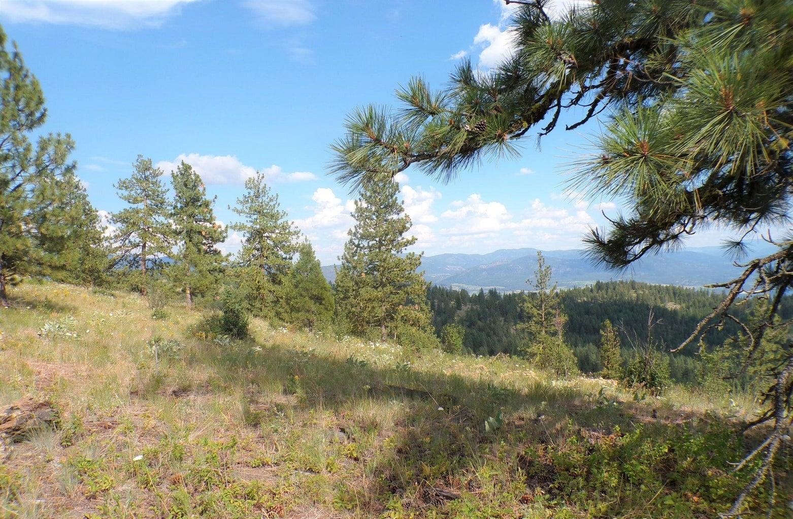 B B Vista View Lane Inchelium, WA 99138 - Photo 15 of 18