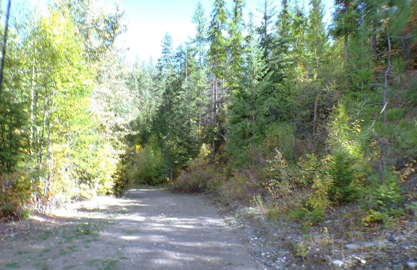 B B Vista View Lane Inchelium, WA 99138 - Photo 16 of 18