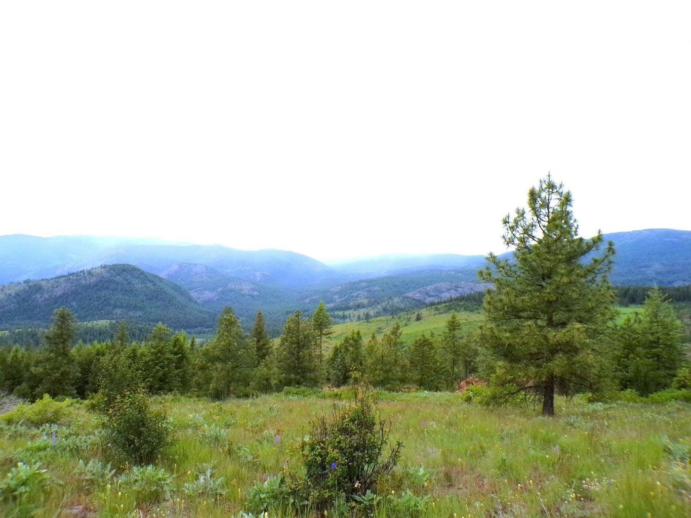 B B Vista View Lane Inchelium, WA 99138 - Photo 2 of 18