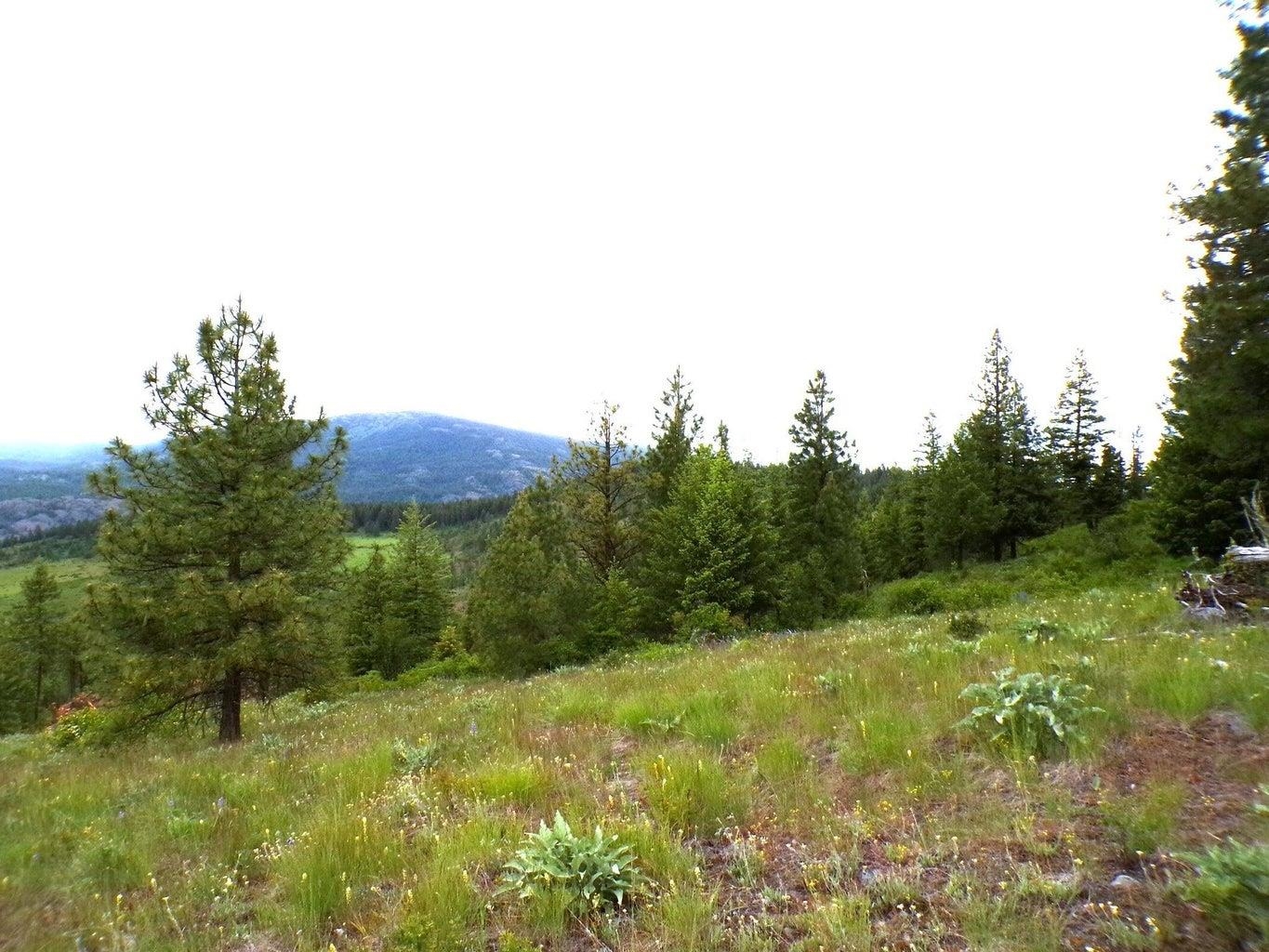 B B Vista View Lane Inchelium, WA 99138 - Photo 3 of 18