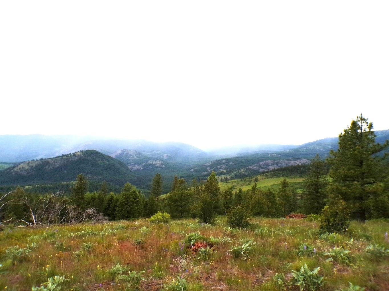 B B Vista View Lane Inchelium, WA 99138 - Photo 4 of 18