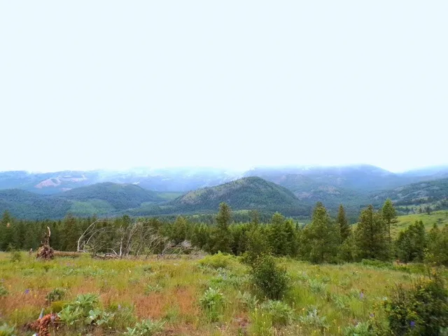 $75,000 | B B Vista View Lane, Inchelium, WA 99138