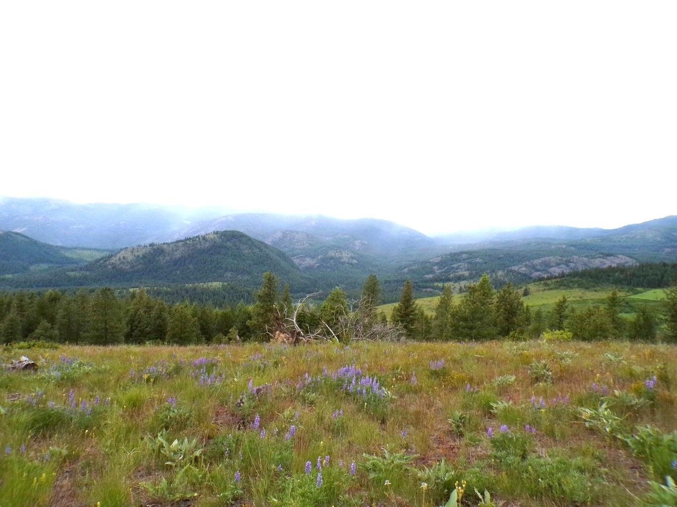 B B Vista View Lane Inchelium, WA 99138 - Photo 6 of 18