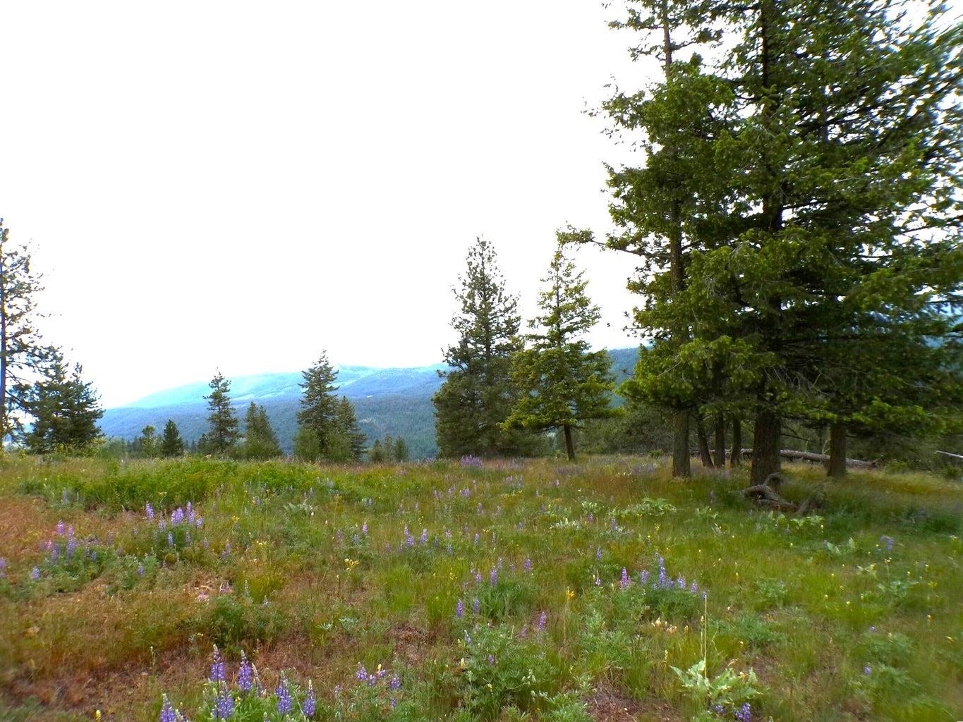 B B Vista View Lane Inchelium, WA 99138 - Photo 7 of 18