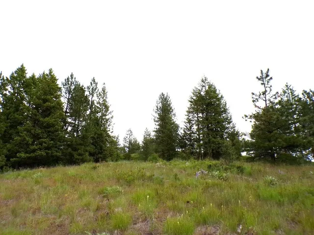 $75,000 | B B Vista View Lane, Inchelium, WA 99138