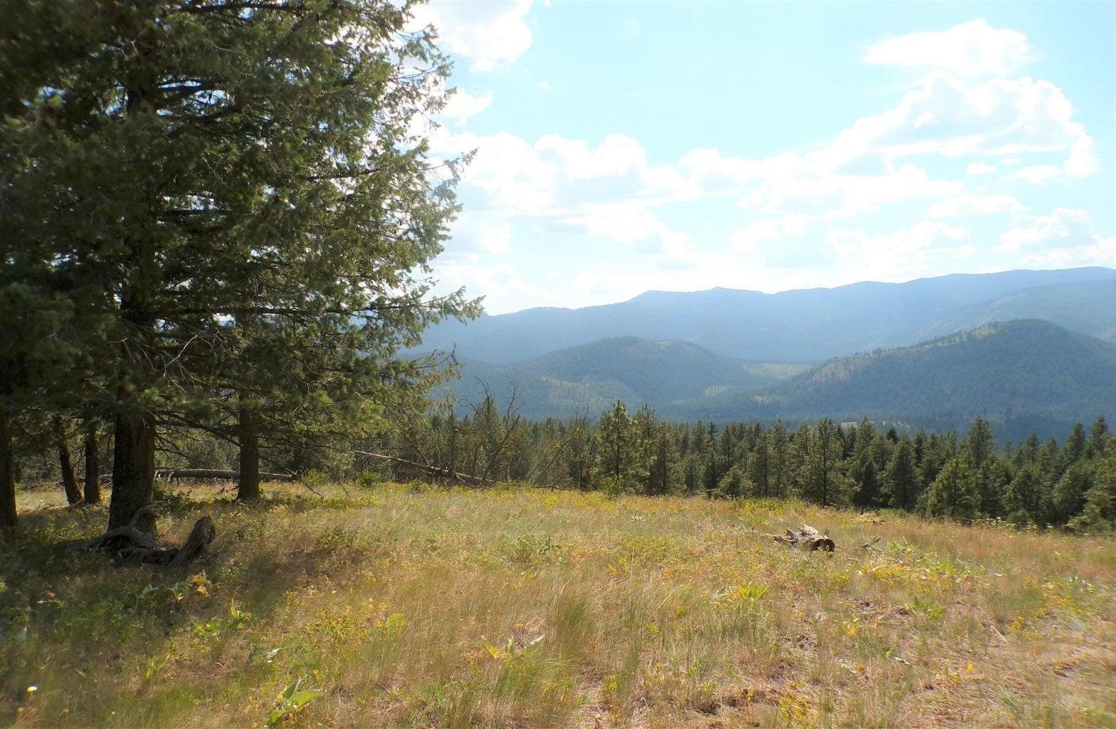 B B Vista View Lane Inchelium, WA 99138 - Photo 9 of 18