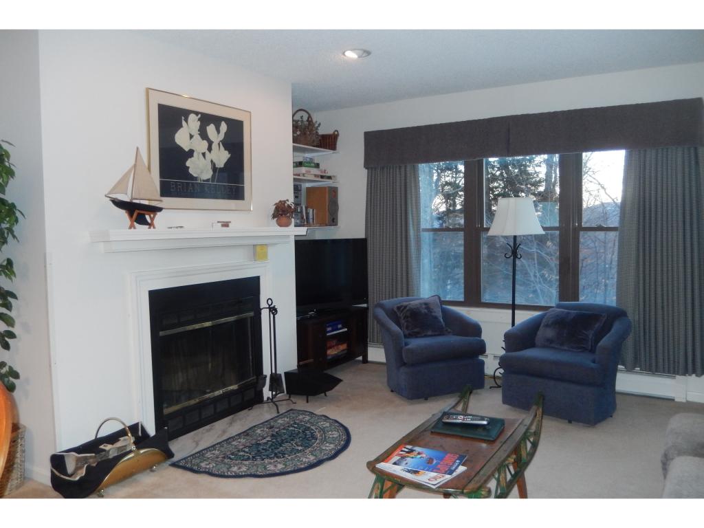 81 White Loop, Unit F103 Ludlow, VT 05149 - Photo 7 of 27 Gallery Image 7