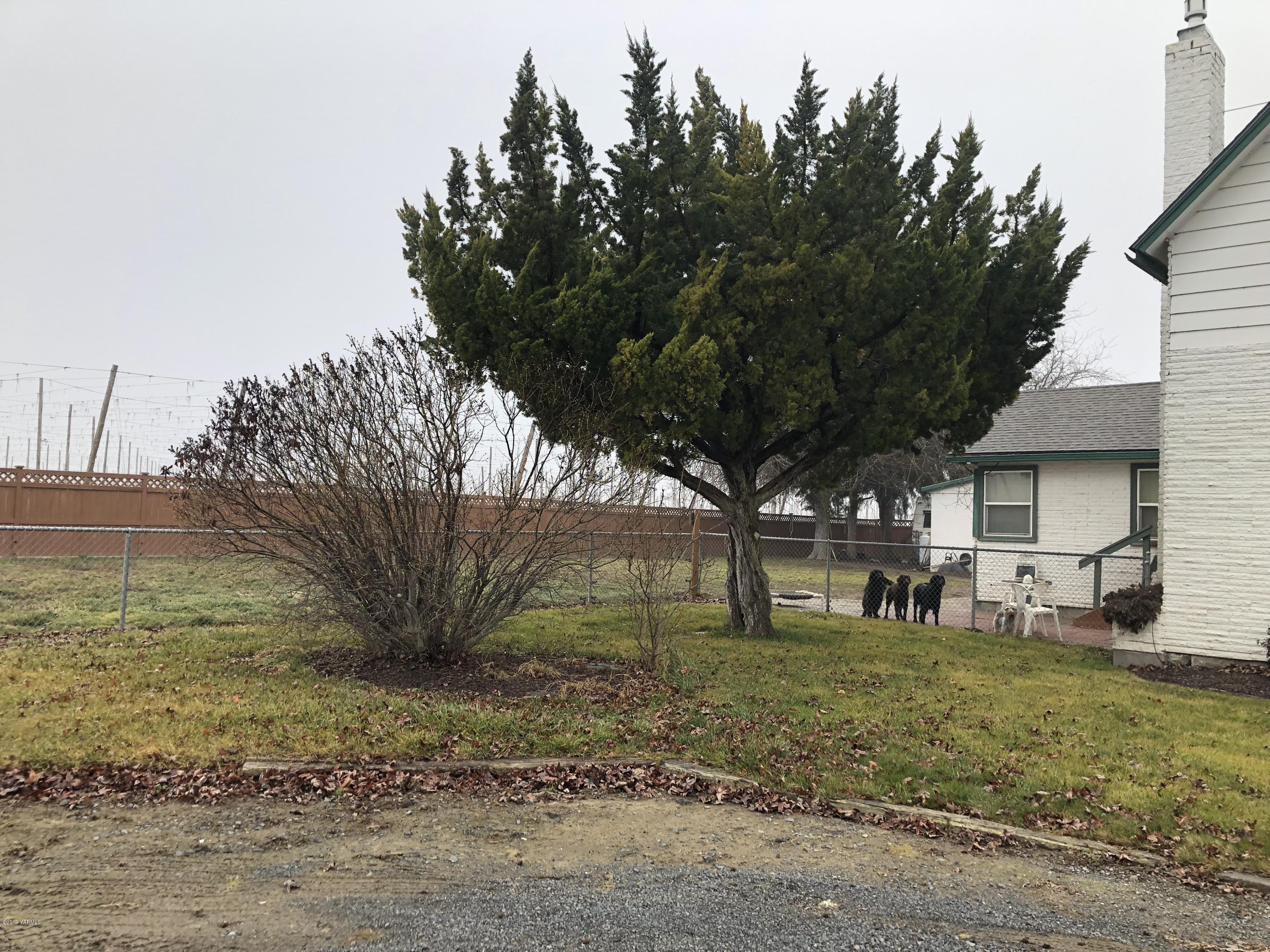1152 South Rivard Road Moxee, WA 98936 - Photo 12 of 46 a backyard of a house with lots of green space