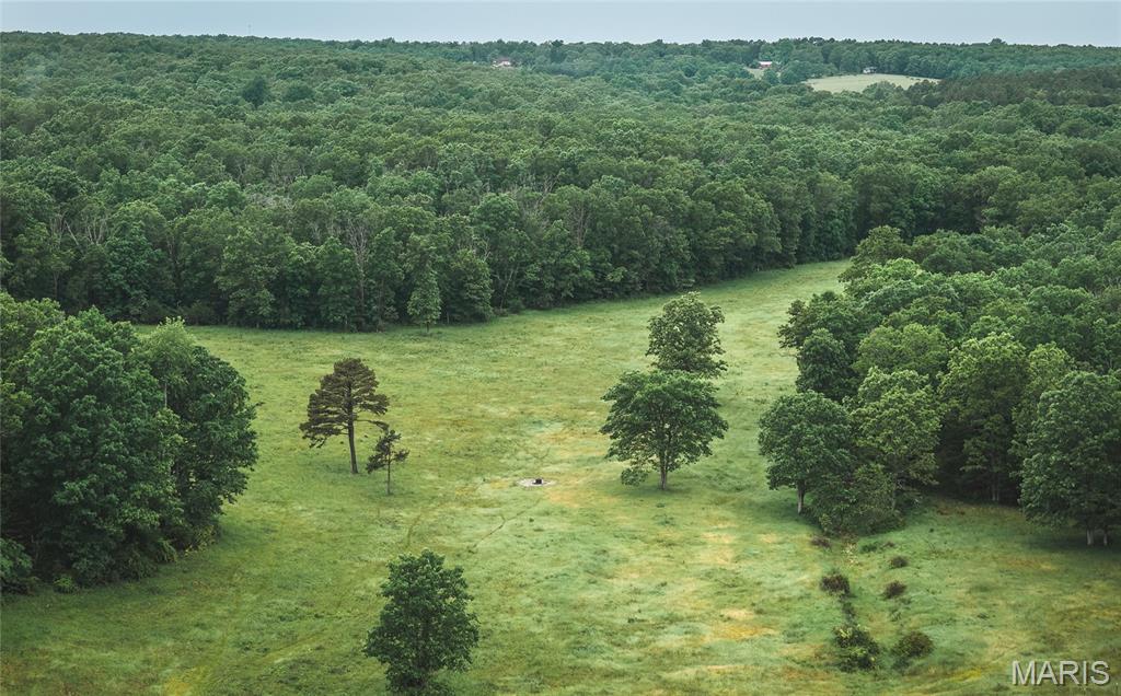 20063 Pigeon Creek Road Licking, MO 65542 - Photo 45 of 50