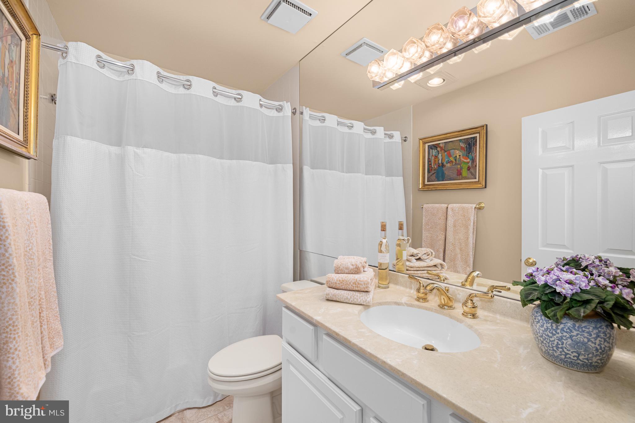1332 Skipwith Road McLean, VA 22101 - Photo 18 of 35 a bathroom with a sink vanity mirror and toilet