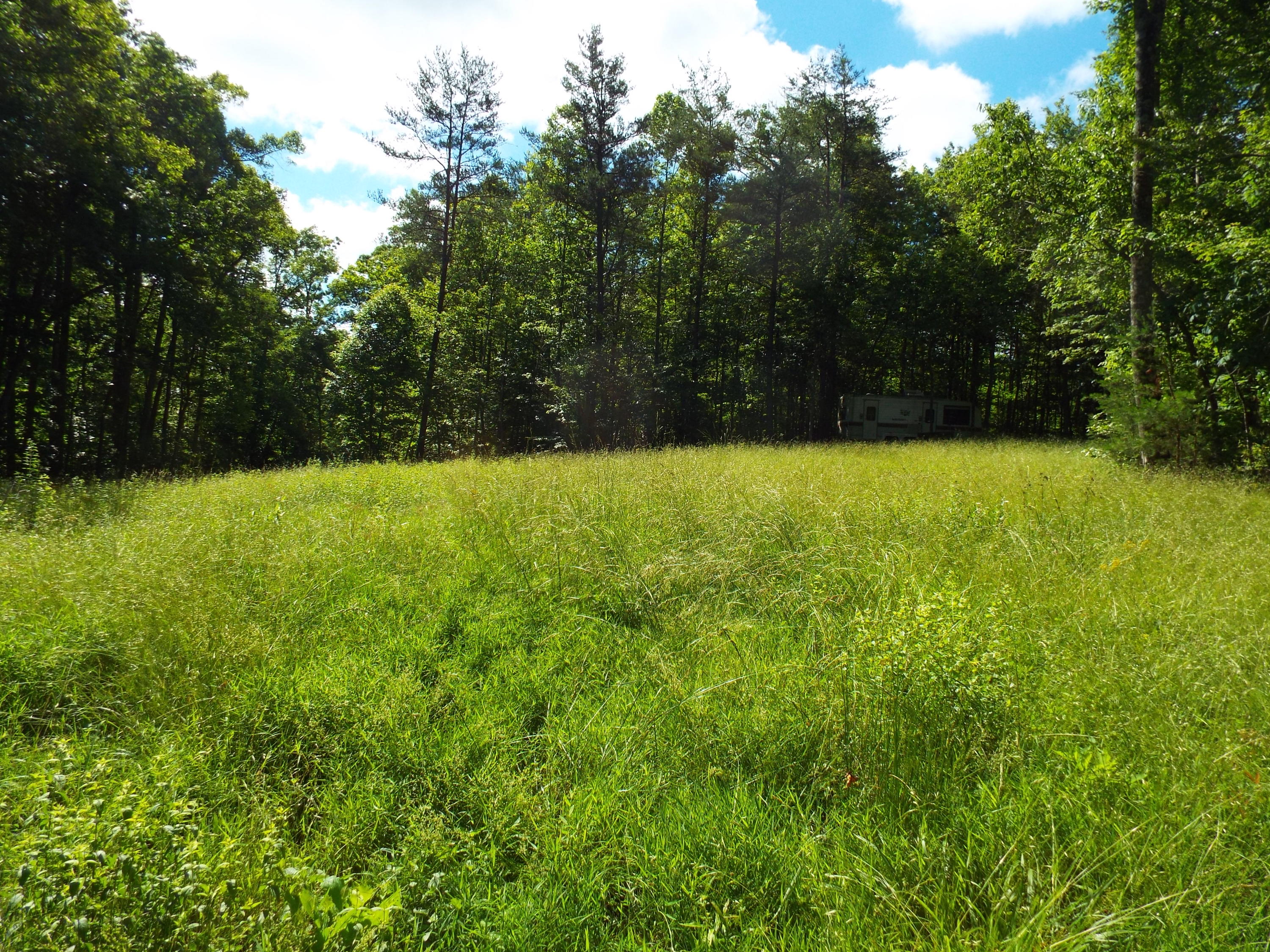 625 Meadows Road Sparta, TN 38583 - Photo 1 of 18 DSCF3806