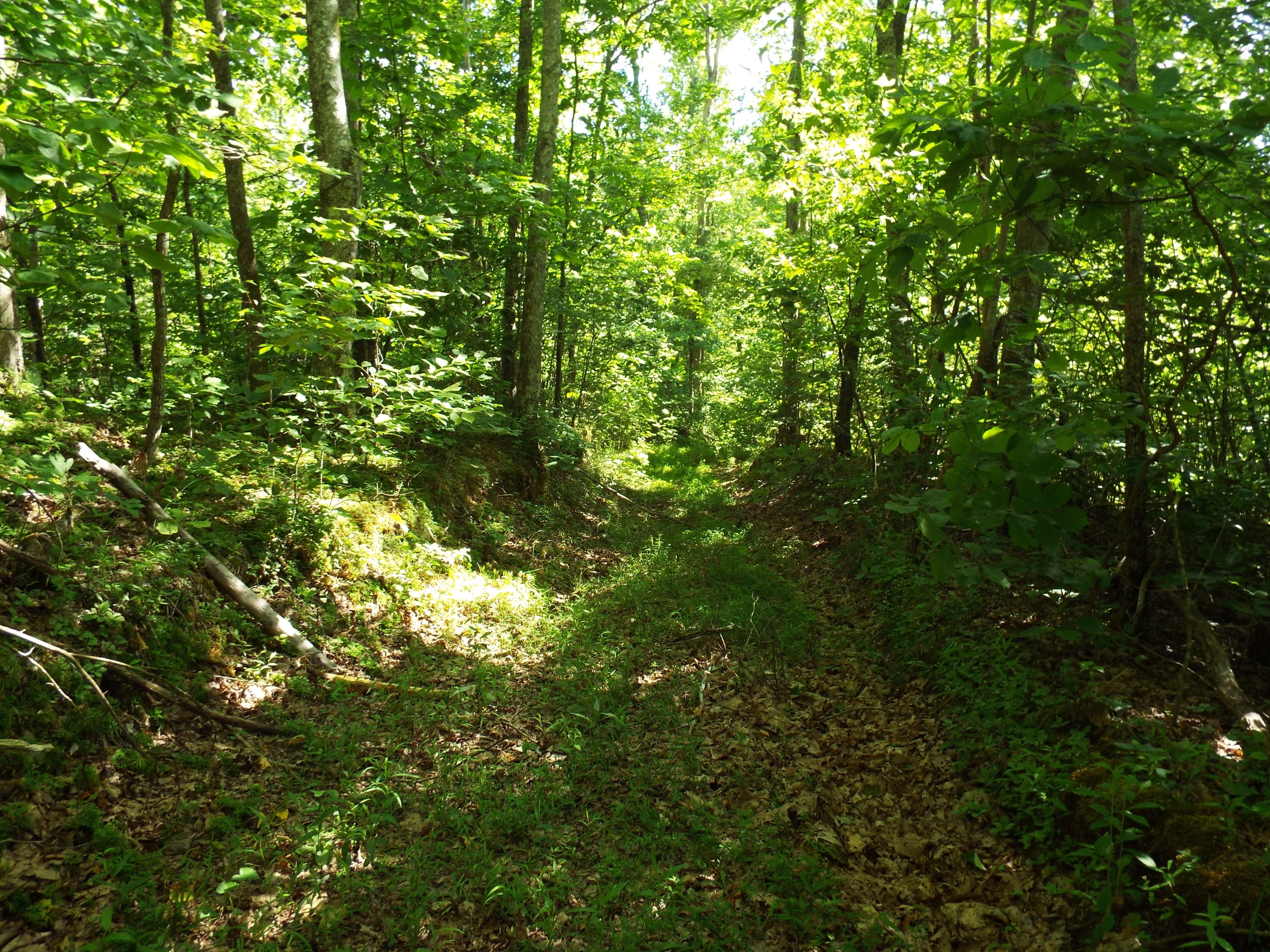 625 Meadows Road Sparta, TN 38583 - Photo 14 of 18 DSCF3816