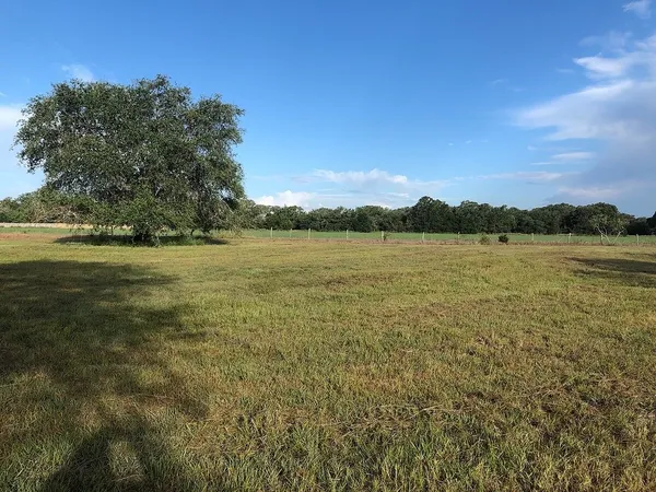 a view of an ocean from a yard