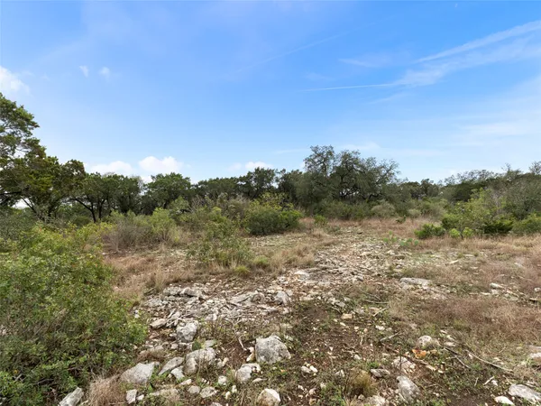 a view of a field with trees in background