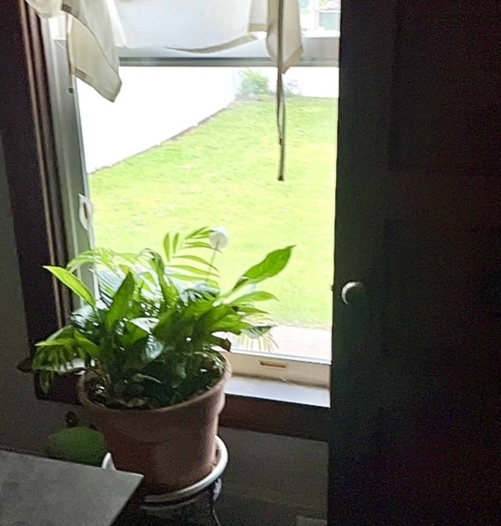 504 9th Street LaSalle, IL 61301 - Photo 22 of 33