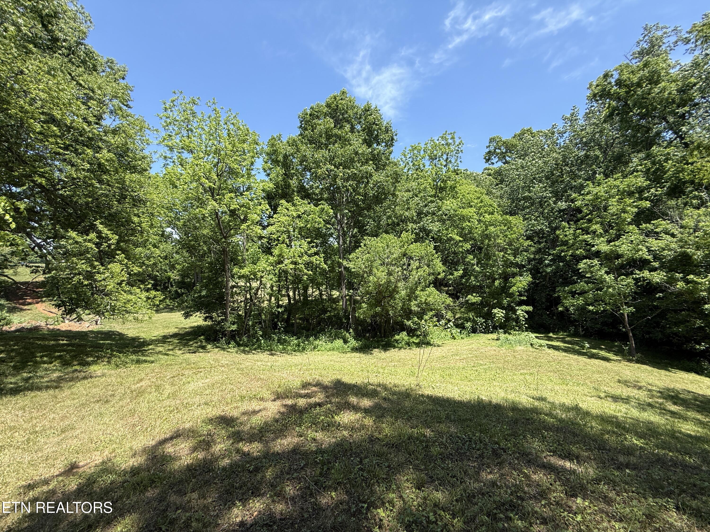 Richland Road Blaine, TN 37709 - Photo 18 of 25 IMG_5462