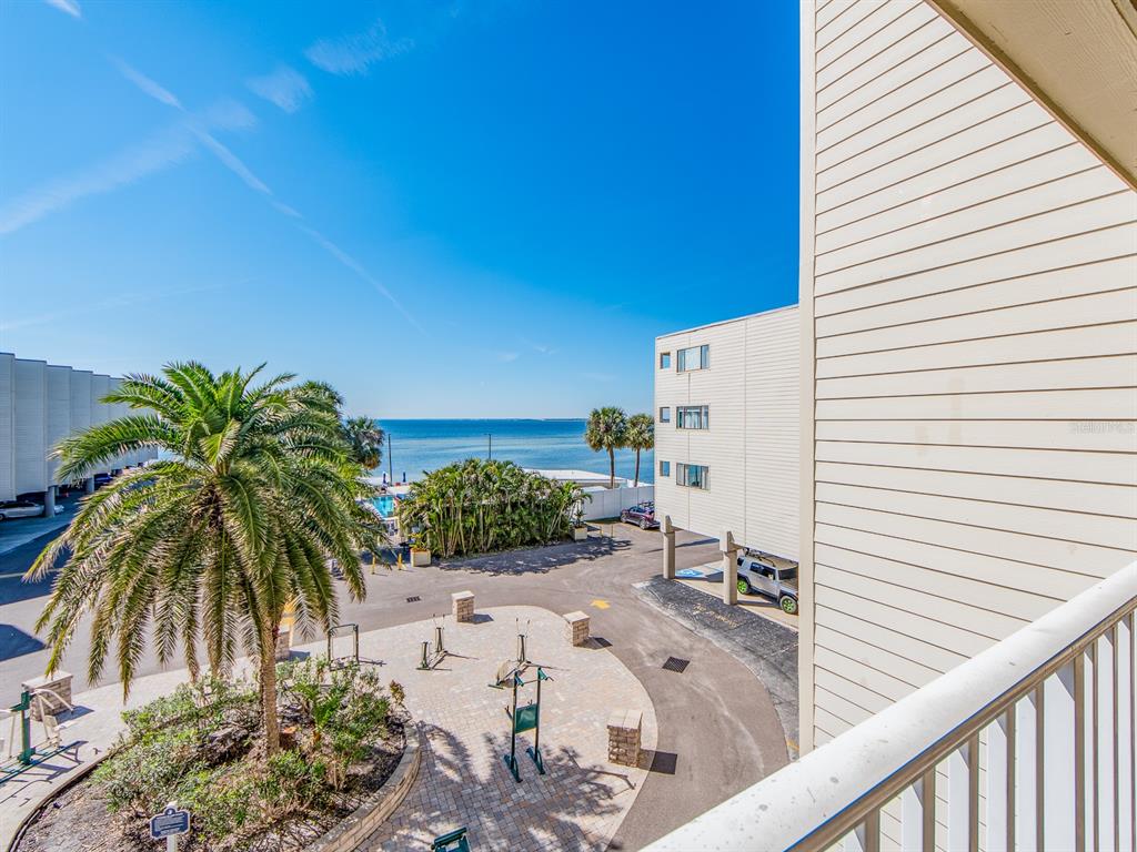 2506 North Rocky Point Drive, Unit 358 Tampa, FL 33607 - Photo 22 of 45 a view of a backyard with plants and palm tree