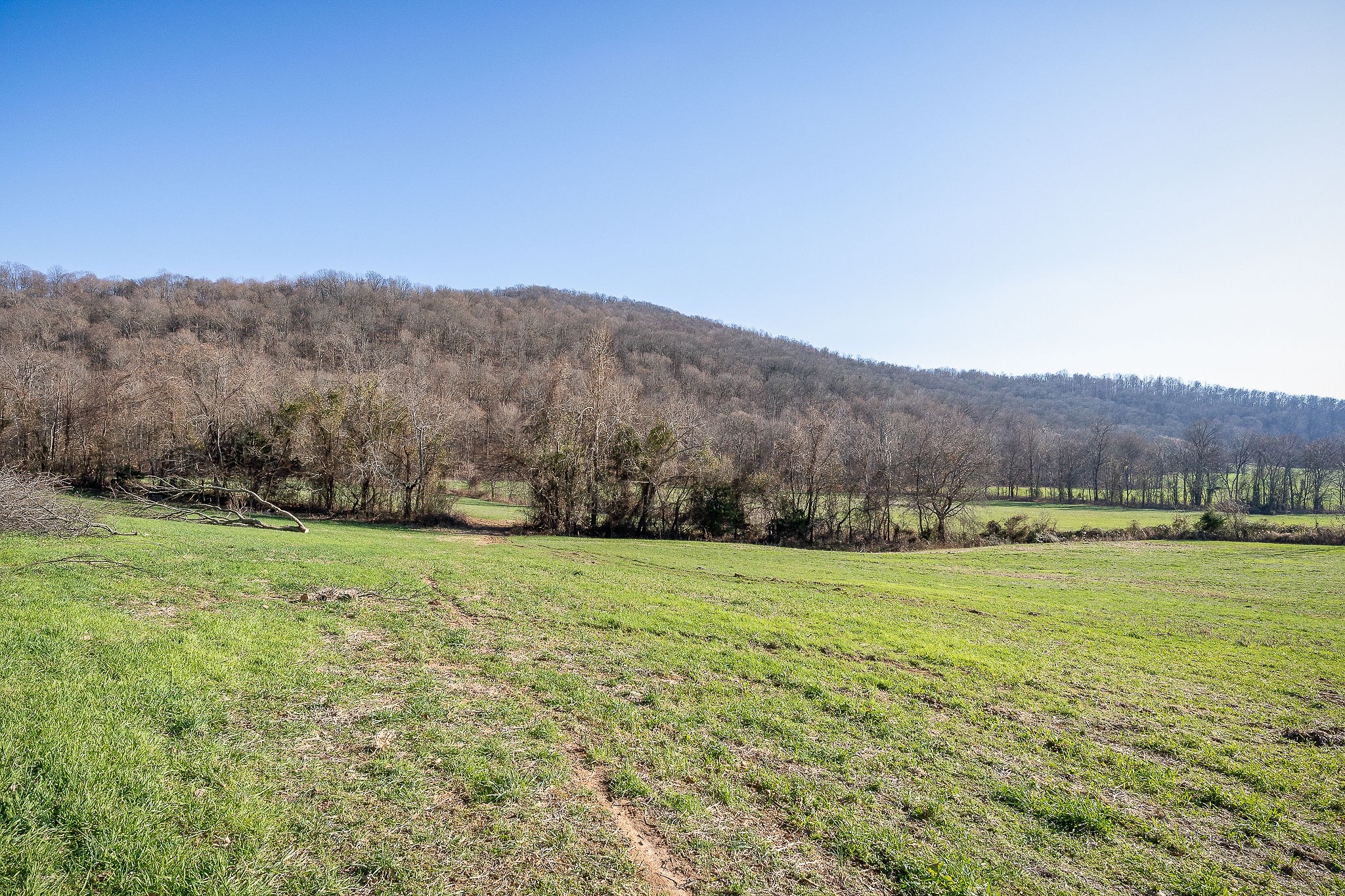 505 Thaxton Road McMinnville, TN 37110 - Photo 31 of 31 a view of an outdoor space and a yard