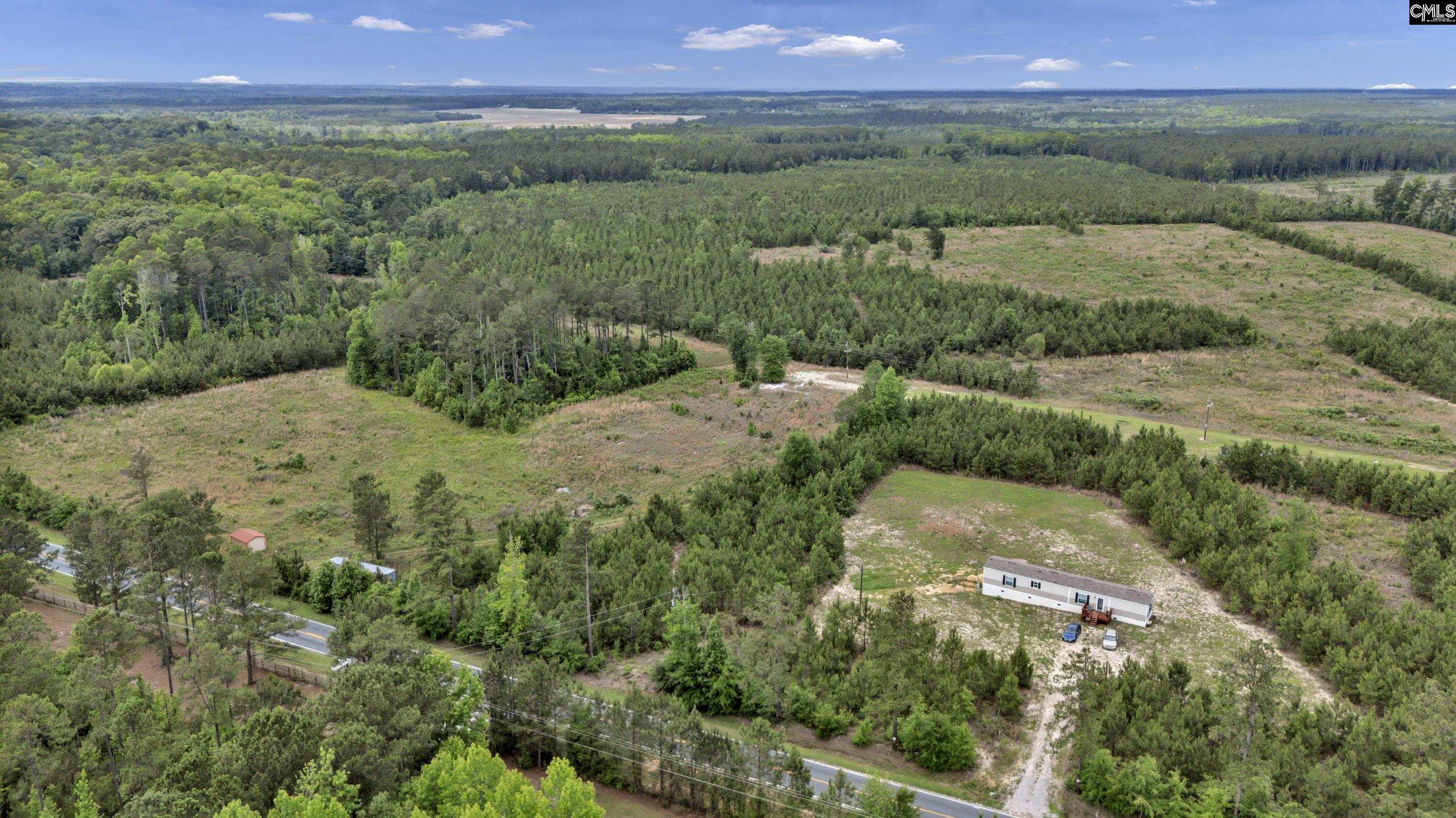 Na Bull Swamp Road North, SC 29112 - Photo 12 of 28