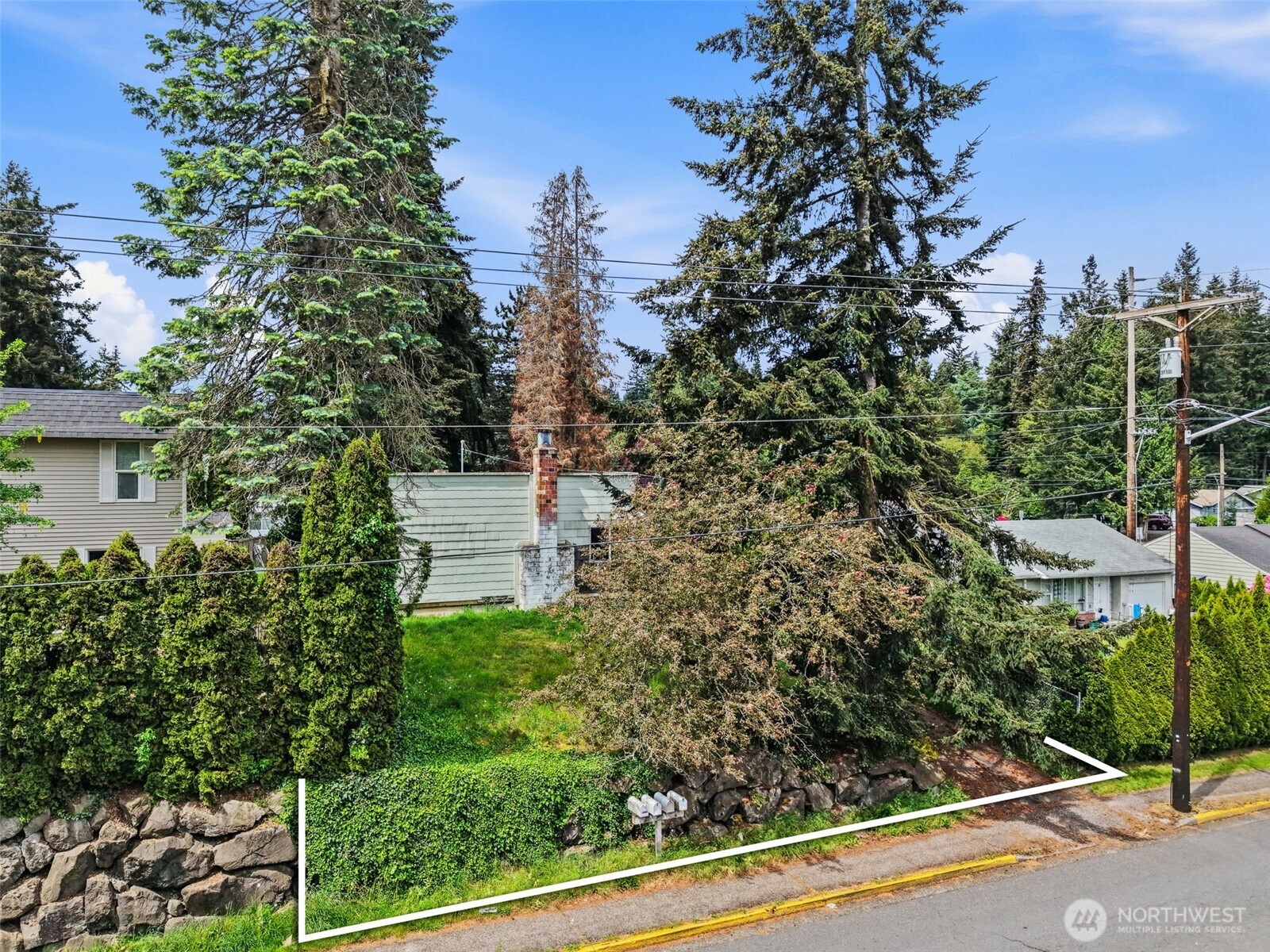 22018 76th Avenue West Edmonds, WA 98026 - Photo 3 of 18 a view of a yard with plants