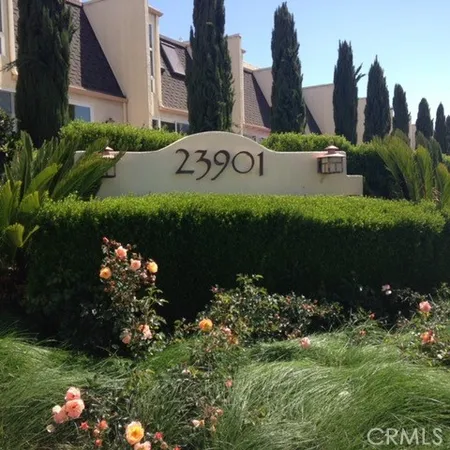 a view of a bunch of flowers in front of house