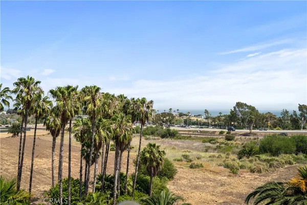 a view of a yard with large trees