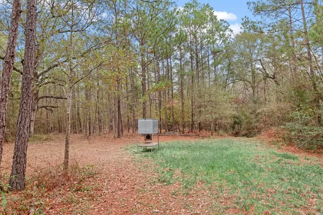 a backyard of a house with lots of green space