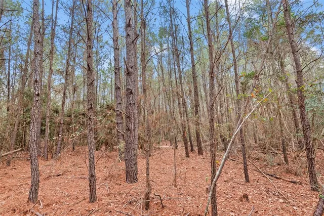 a view of backyard with green space