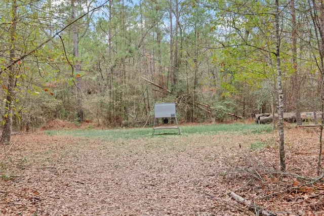 a view of empty room with trees