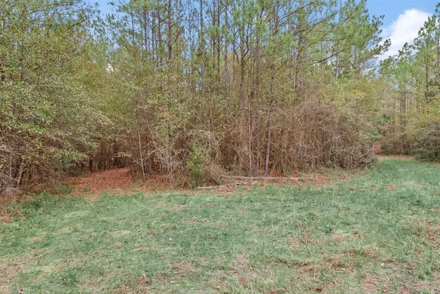 a white house that has a tree in front of it