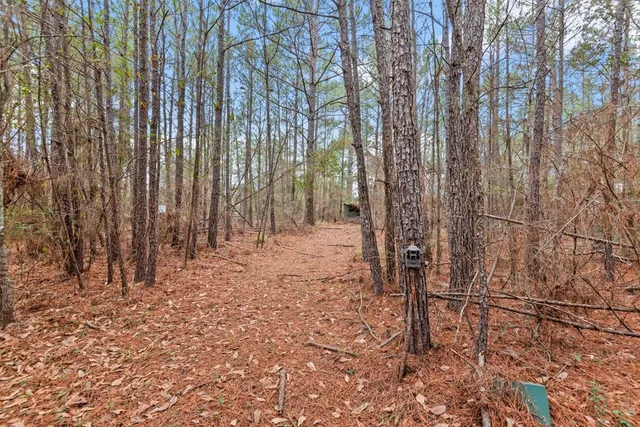 a view of a yard with trees
