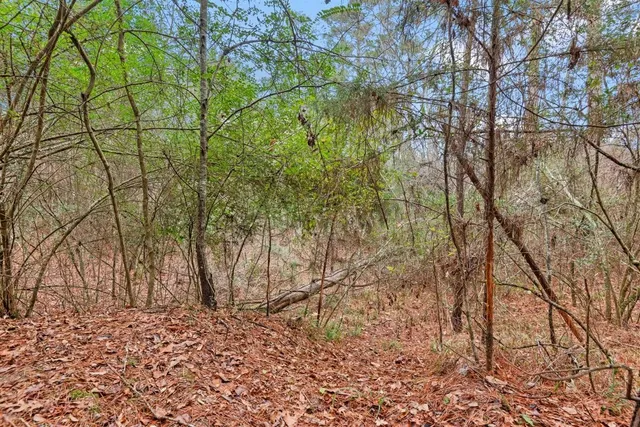 $2,200,000 | 12895 County Road 201, Plantersville, TX 77363