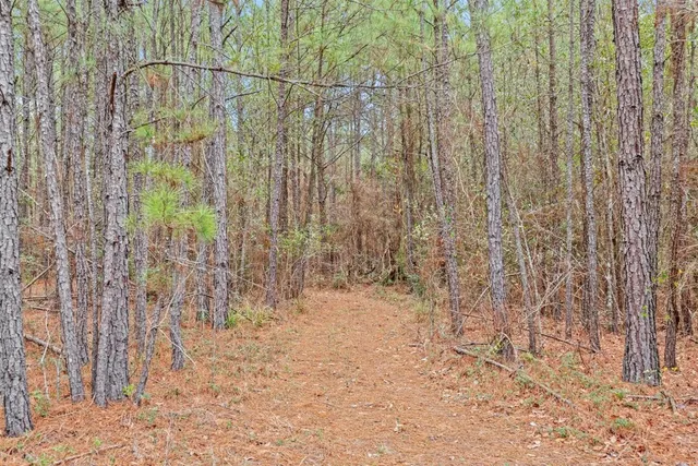 a view of a pathway of a building