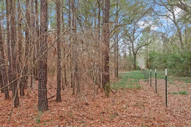 a view of a backyard with large trees