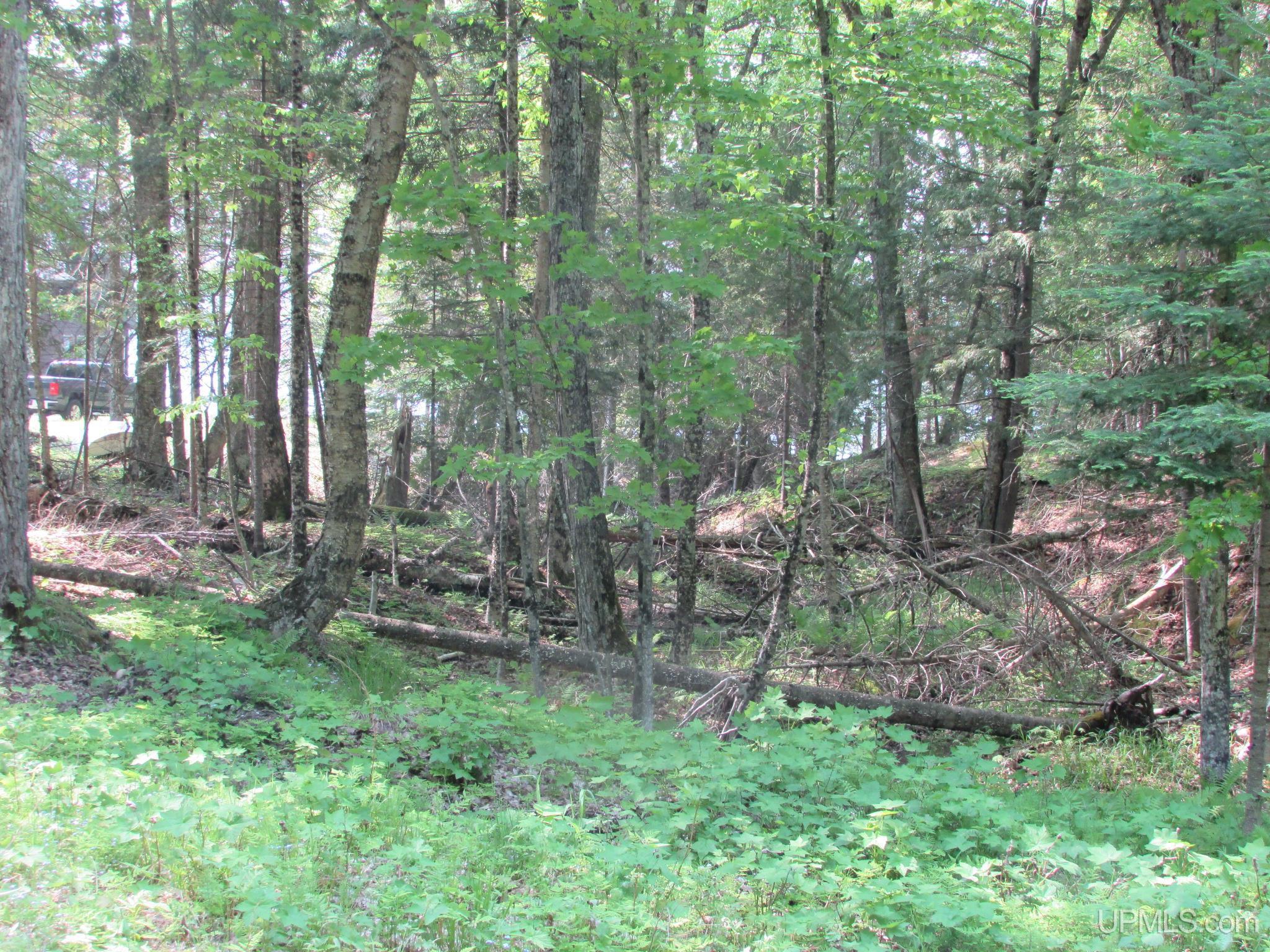 20517 Park Road Skanee, MI 49962 - Photo 73 of 84