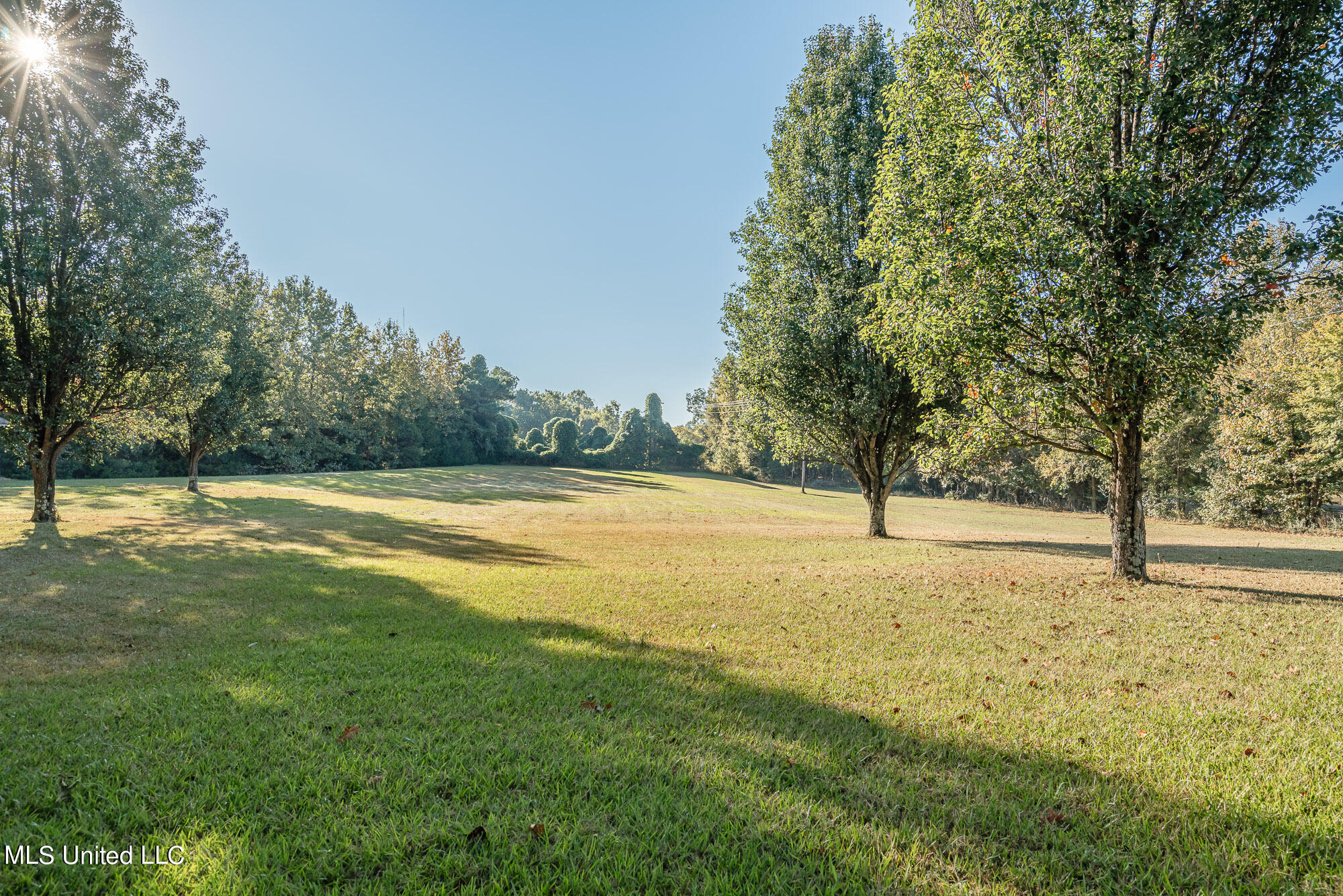 5272 McCracken Road Hernando, MS 38632 - Photo 35 of 35 35-5272-McCracken-239316-snapsold-screen