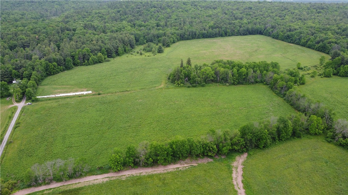 127 White Store Road Norwich, NY 13815 - Photo 3 of 8
