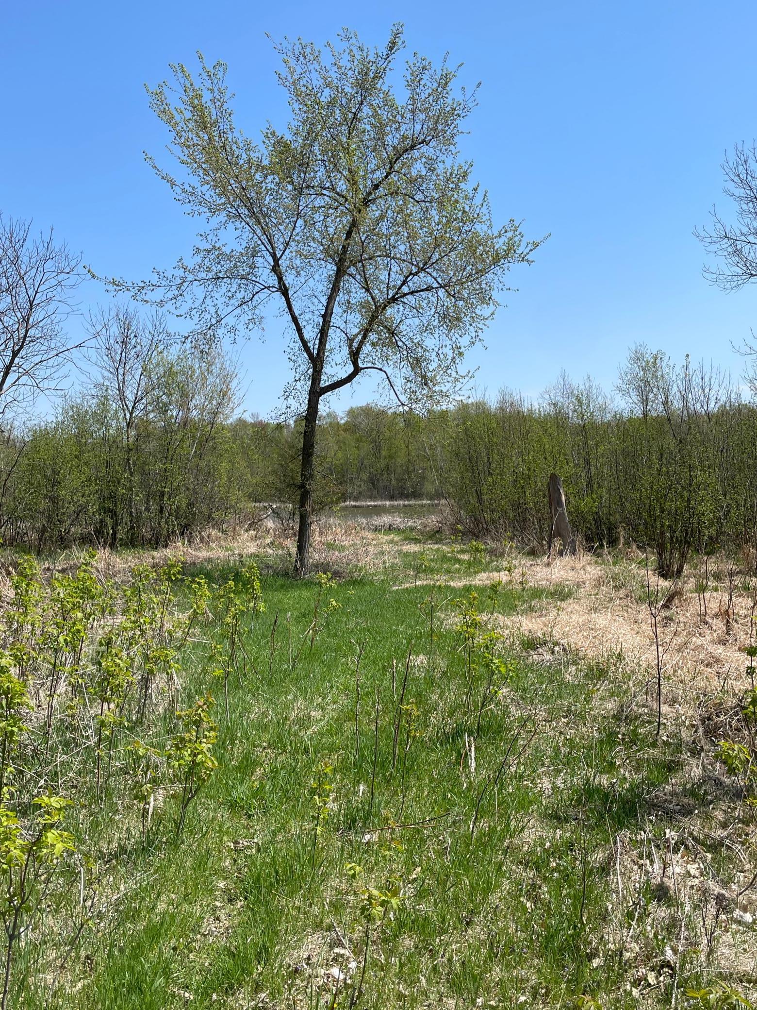 1-xx Stark Road Harris, MN 55032 - Photo 8 of 21