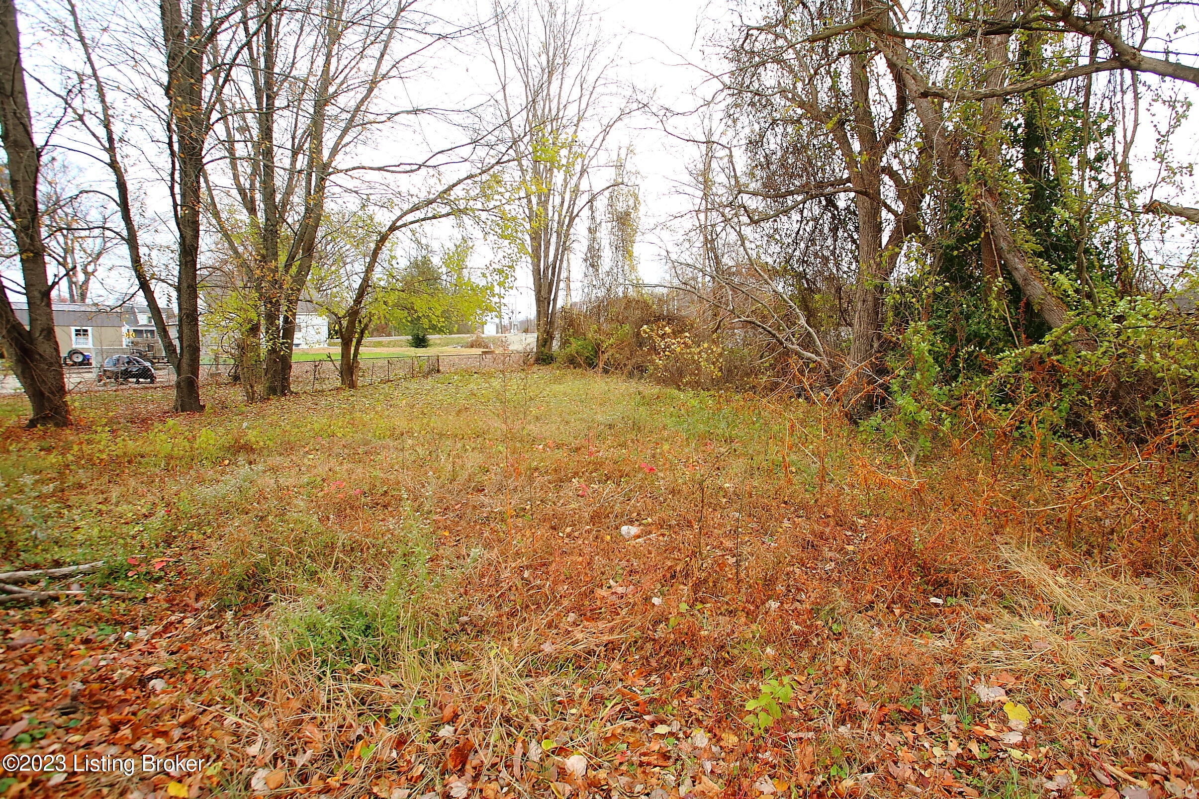 16 Welby Road Louisville, KY 40258 - Photo 40 of 44 Backyard