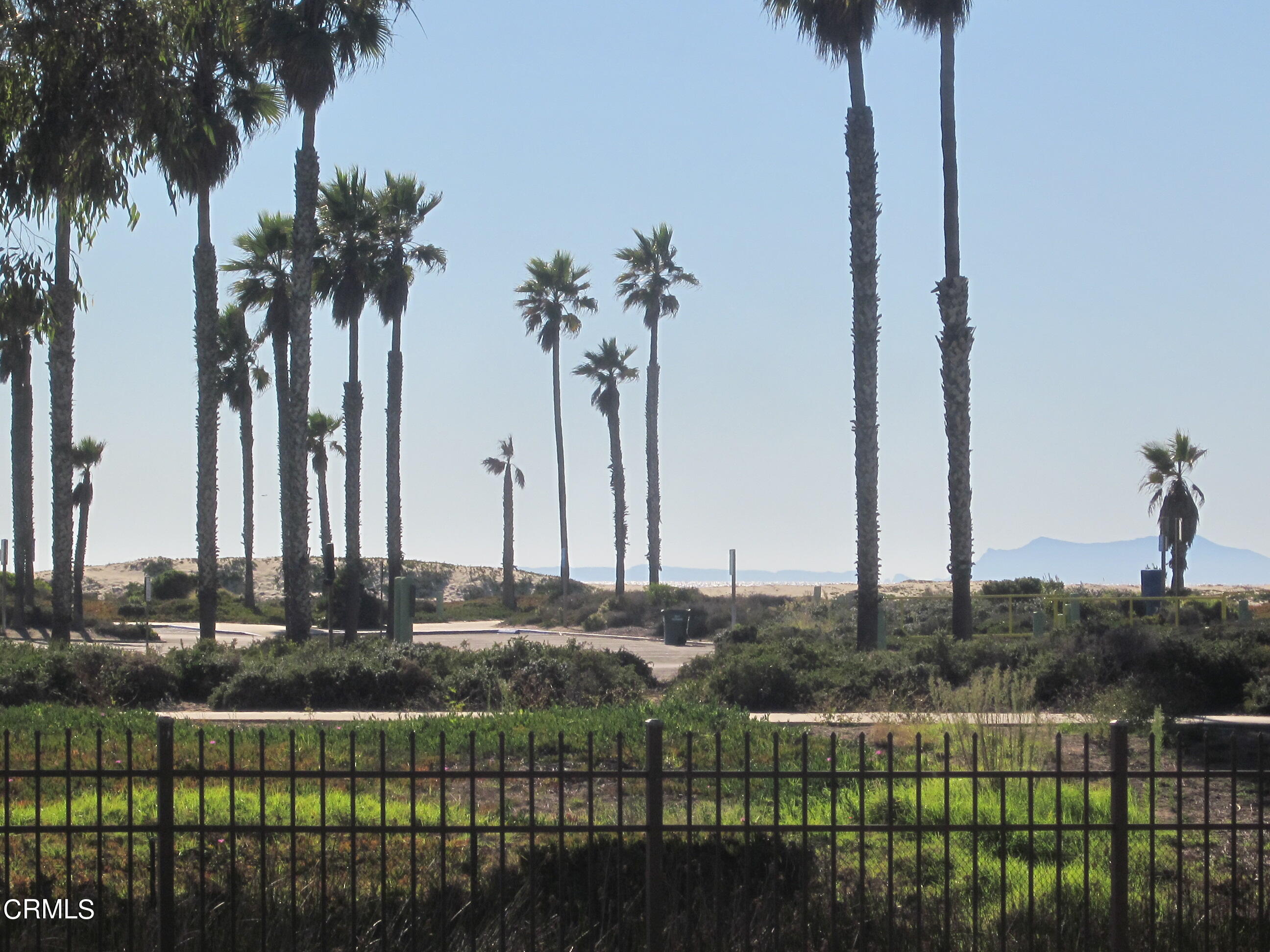 a view of a park with palm trees