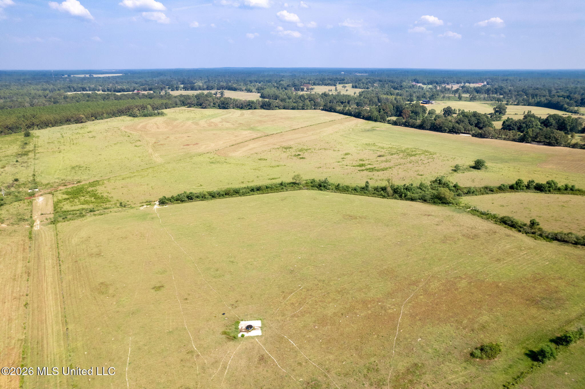 Lot #3 Grady Lewis Road Poplarville, MS 39470 - Photo 3 of 3 603_Osborn_Moody_Rd-59