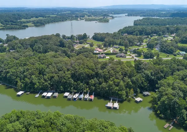 a view of a lake with boats and trees in the background