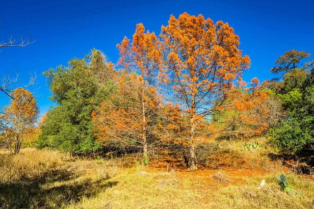 a view of a patio with table and chairs