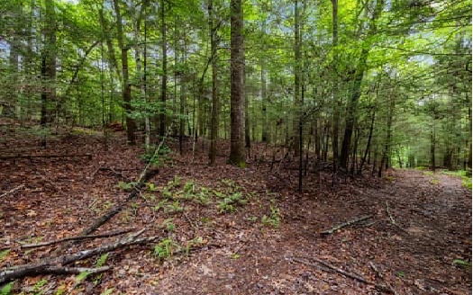 Price Road Blue Ridge, GA 30513 - Photo 23 of 43 Additional View