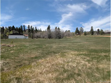 $7,500 | 81 Fountain Dale Lane, Divide, CO 80814